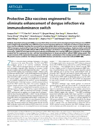 Protective Zika Vaccines Engineered to Eliminate Enhancement of Dengue Infection Via Immunodominance Switch