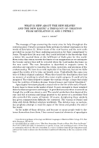 What Is New About the New Heaven and the New Earth? a Theology of Creation from Revelation 21 and 2 Peter 3 Gale Z