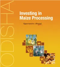 2. Investing in Maize Processing.Pdf
