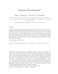 Dynamic Risk Management *