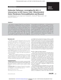 Full Text (PDF)