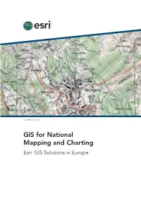 GIS for National Mapping and Charting