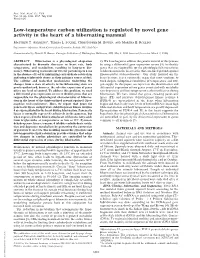 Low-Temperature Carbon Utilization Is Regulated by Novel Gene Activity in the Heart of a Hibernating Mammal