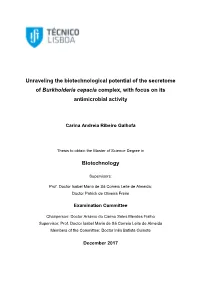 Unraveling the Biotechnological Potential of the Secretome of Burkholderia Cepacia Complex, with Focus on Its Antimicrobial Activity