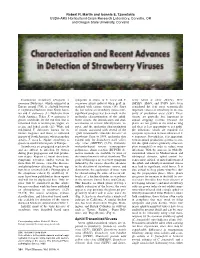 06 Strawberry Virus Feature1.Pdf