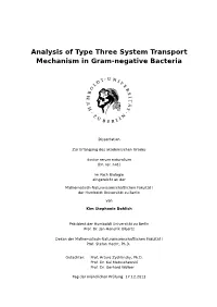 Analysis of Type Three System Transport Mechanism in Gram-Negative Bacteria