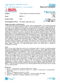 Antigen CD233 / Band 3 (Extracellular Domain) Clone BRAC 17