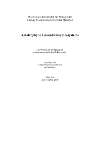 Autotrophy in Groundwater Ecosystems