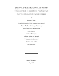 Structural Characterization and Subunit Communication Of