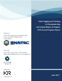 Turtle Tagging and Tracking in Chesapeake Bay and Coastal Waters of Virginia: 2016 Annual Progress Report
