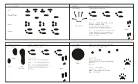 GAIT PATTERNS Pacer Diagonal Walker Bounder Galloper RABBITS