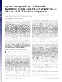 Impaired Neurogenesis and Cardiovascular Development in Mice Lacking the E3 Ubiquitin Ligases UBR1 and UBR2 of the N-End Rule Pathway