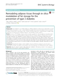 Remodeling Adipose Tissue Through in Silico Modulation of Fat Storage For
