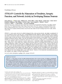 SYNGAP1 Controls the Maturation of Dendrites, Synaptic Function, and Network Activity in Developing Human Neurons