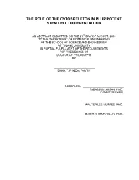 The Role of the Cytoskeleton in Pluripotent Stem Cell Differentiation