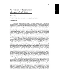 An Overview of the Molecular Phylogeny of Lentiviruses
