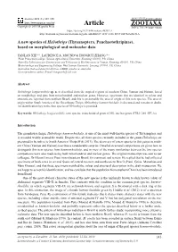 A New Species of Heliothrips (Thysanoptera, Panchaetothripinae), Based on Morphological and Molecular Data