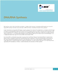 DNA/RNA Synthesis