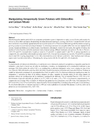 Manipulating Aeroponically Grown Potatoes with Gibberellins and Calcium Nitrate