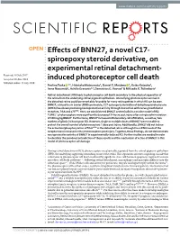 Effects of BNN27, a Novel C17-Spiroepoxy Steroid Derivative