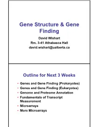 Gene Structure 1