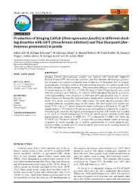 (Heteropneustes Fossilis) in Different Stock- Ing Densities with GIFT (Oreochromis Niloticus) and Thai Sharpunti (Bar- Bonymus Gonionotus) in Ponds