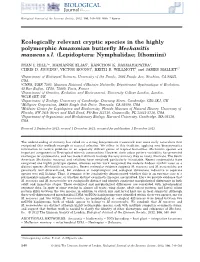 Ecologically Relevant Cryptic Species in the Highly Polymorphic Amazonian Butterﬂy Mechanitis Mazaeus S.L