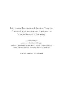 Path Integral Formulation of Quantum Tunneling: Numerical Approximation and Application to Coupled Domain Wall Pinning