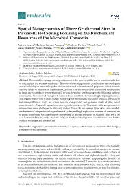 Spatial Metagenomics of Three Geothermal Sites in Pisciarelli Hot Spring Focusing on the Biochemical Resources of the Microbial Consortia