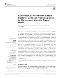 A High Bacterial Cellulose Producing Strain in Glucose and Mannitol Based Media