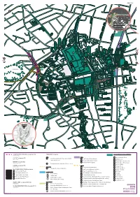 Growth Zone Programme