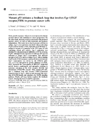Mutant P53 Initiates a Feedback Loop That Involves Egr-1&Sol;EGF