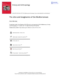 The Olive and Imaginaries of the Mediterranean