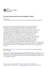 Devonian Antiarch Placoderms from Belgium Revisited