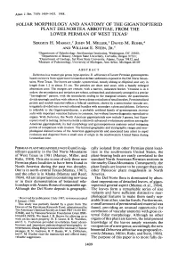 FOLIAR MORPHOLOGY and ANATOMY of the GIGANTOPTERID PLANT DELNORTEA ABBOTTIAE, from the LOWER PERMIAN of WEST Texasl