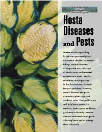 Hosta Diseases and Pests