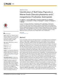 Identification of Shell Colour Pigments in Marine Snails Clanculus Pharaonius and C