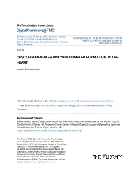 Obscurin Mediates Ankyrin Complex Formation in the Heart