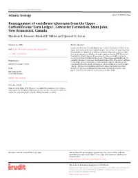 Reassignment of Vertebrate Ichnotaxa from the Upper Carboniferous ‘Fern Ledges’, Lancaster Formation, Saint John, New Brunswick, Canada Matthew R
