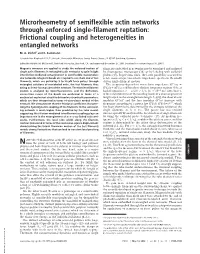 Microrheometry of Semiflexible Actin Networks Through Enforced Single-Filament Reptation: Frictional Coupling and Heterogeneities in Entangled Networks