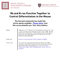 Rb and N-Ras Function Together to Control Differentiation in the Mouse