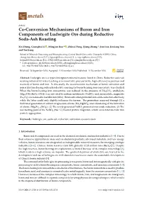 Co-Conversion Mechanisms of Boron and Iron Components of Ludwigite Ore During Reductive Soda-Ash Roasting