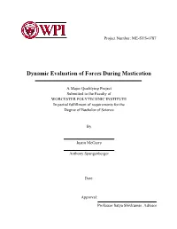 Dynamic Evaluation of Forces During Mastication