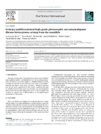 Primary Undifferentiated High-Grade Pleomorphic Sarcoma/Malignant