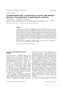 Proopiomelanocortin, a Polypeptide Precursor with Multiple Functions