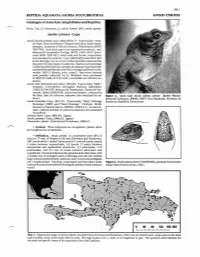RE- Anolfs Cybotes Cope