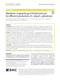 Metabolic Engineering of Escherichia Coli For