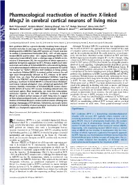Pharmacological Reactivation of Inactive X-Linked Mecp2 in Cerebral Cortical Neurons of Living Mice