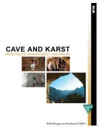 Draft 8380, Cave and Karst Resources Handbook