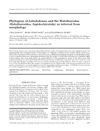 Phylogeny of Labidodemas and the Holothuriidae (Holothuroidea: Aspidochirotida) As Inferred from Morphology